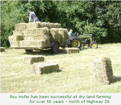 Roy Hofer has been successful at dry land farming for over 60 years - north of Highway 26